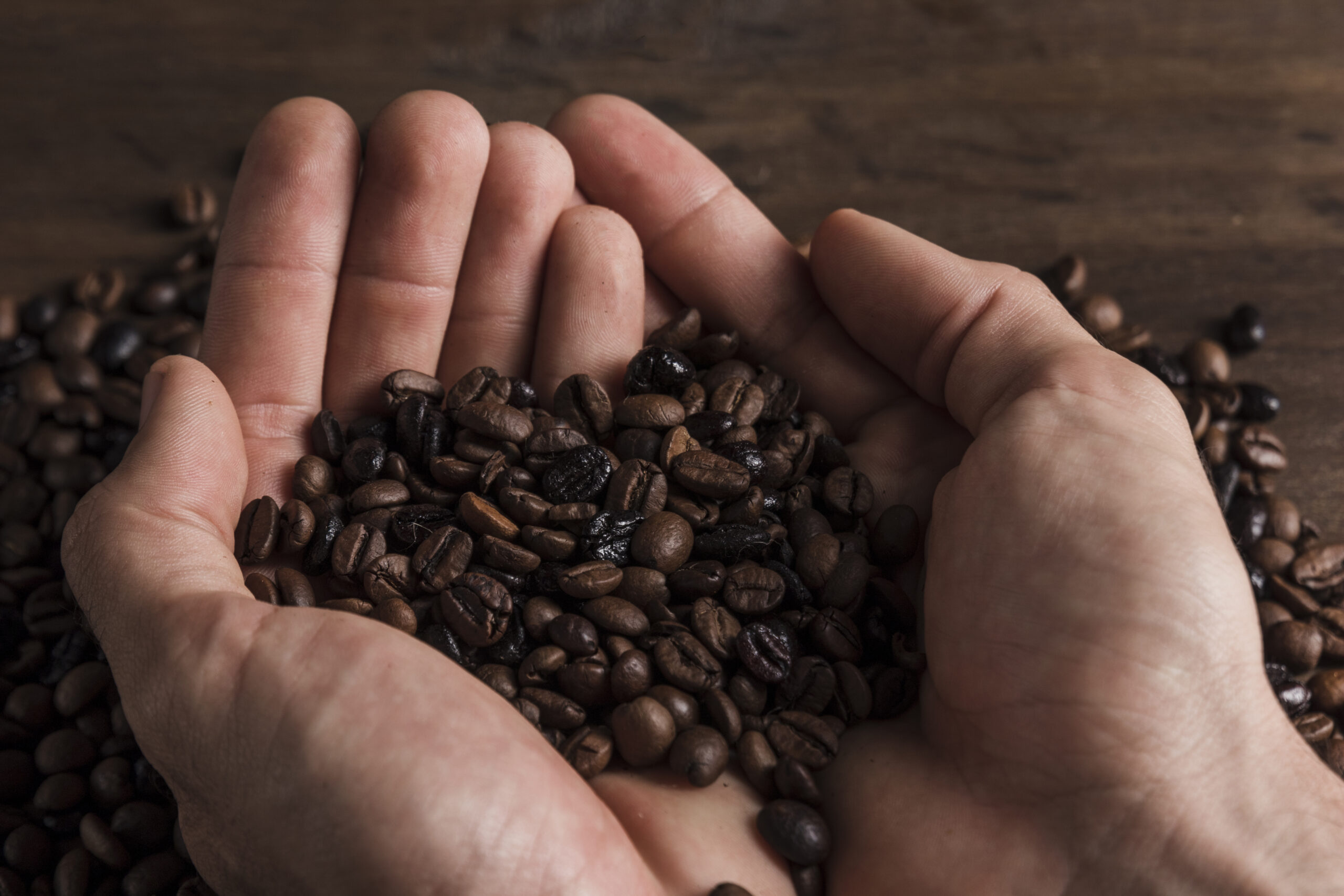 Mejores Cafés en Grano