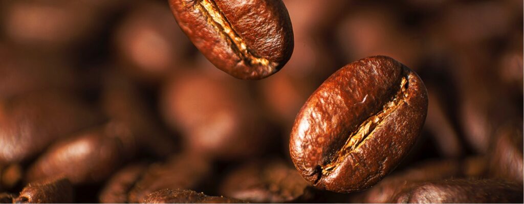 tipos de café robusta