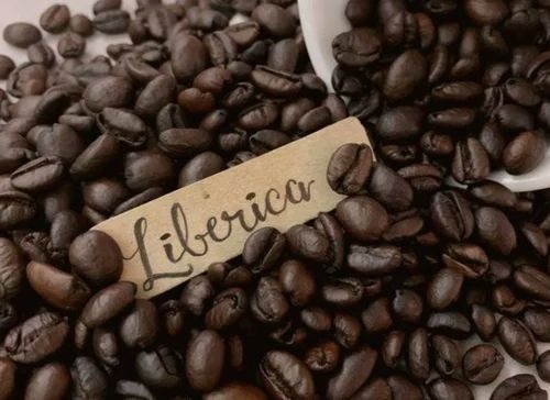 café liberica