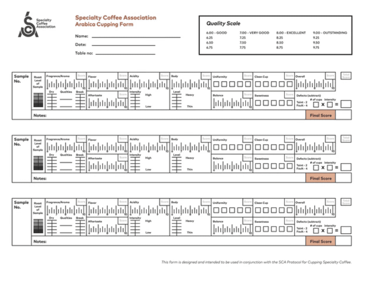notas de cata del café