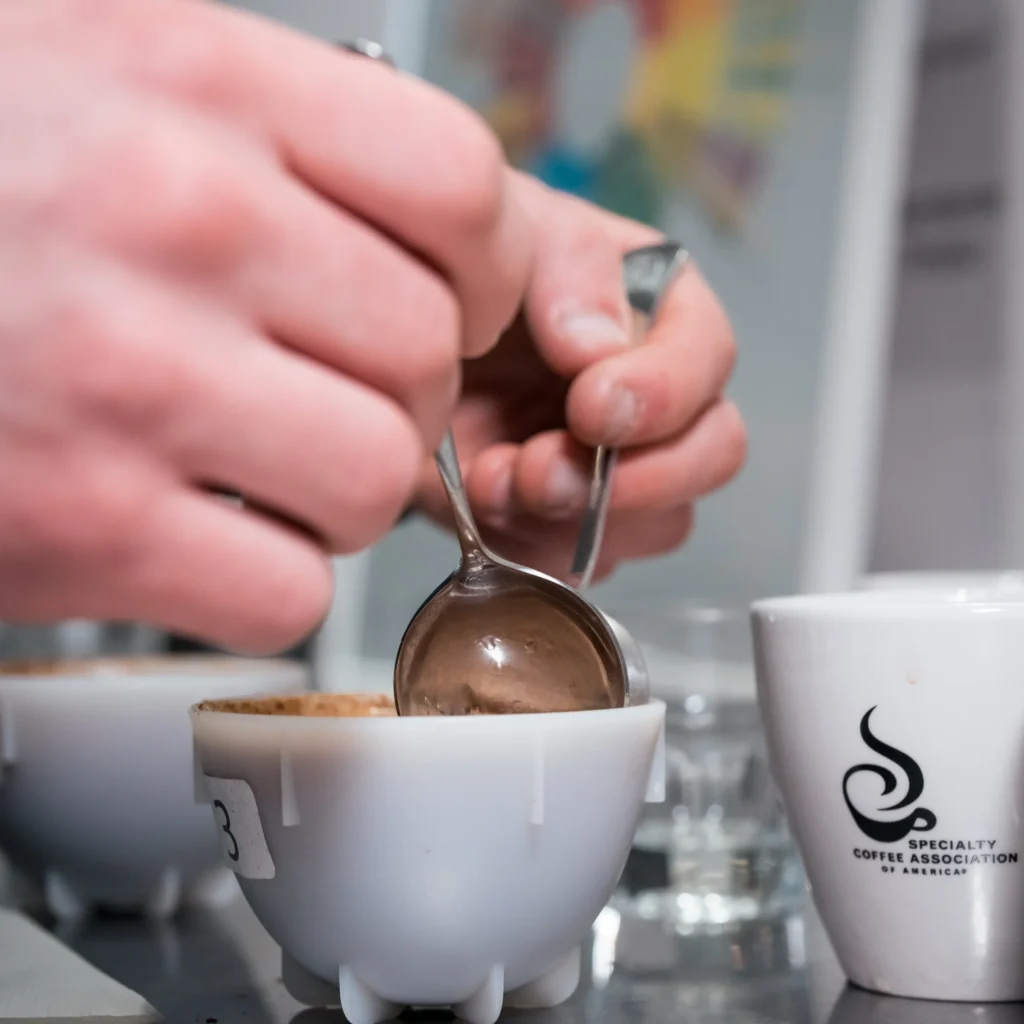 notas de cata del café