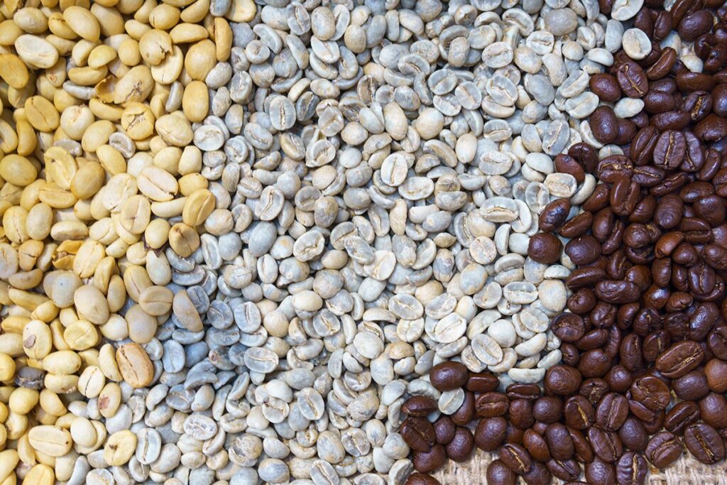 diferencia tipos de café