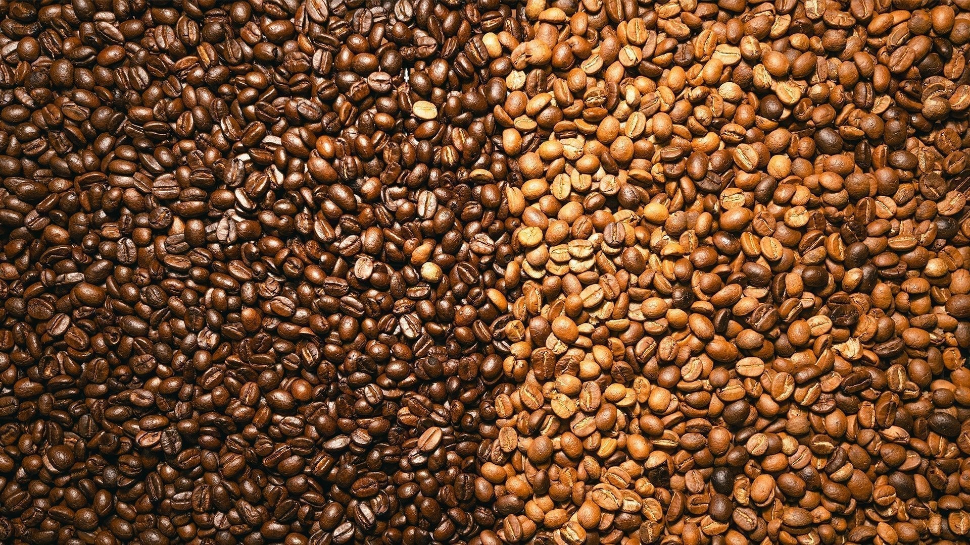 Diferencia tipos de café