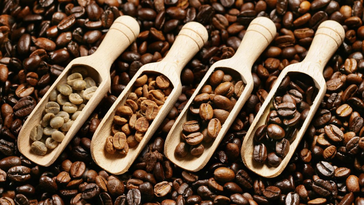 diferencia tipos de café
