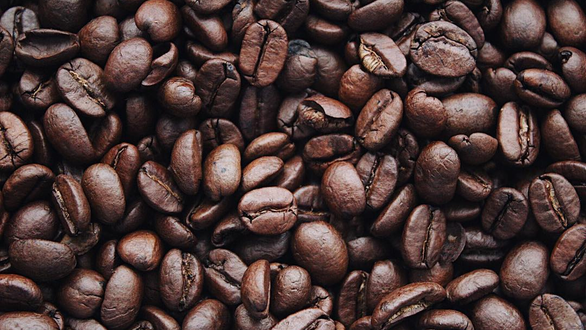 frescura del café
