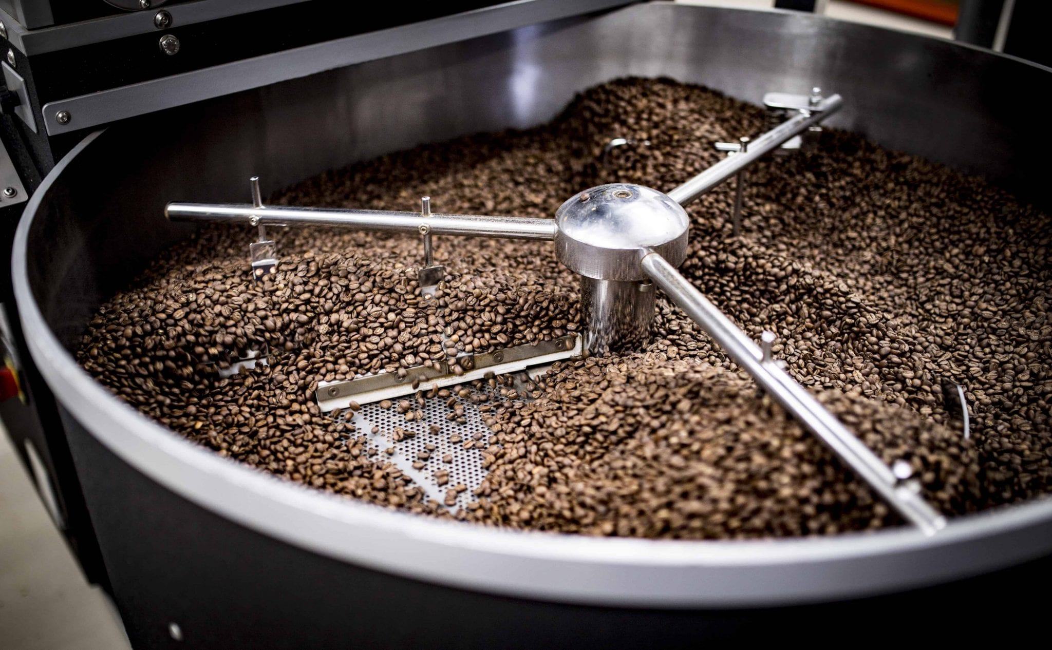 frescura del café