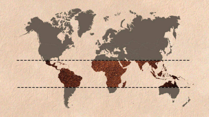cafes mundo