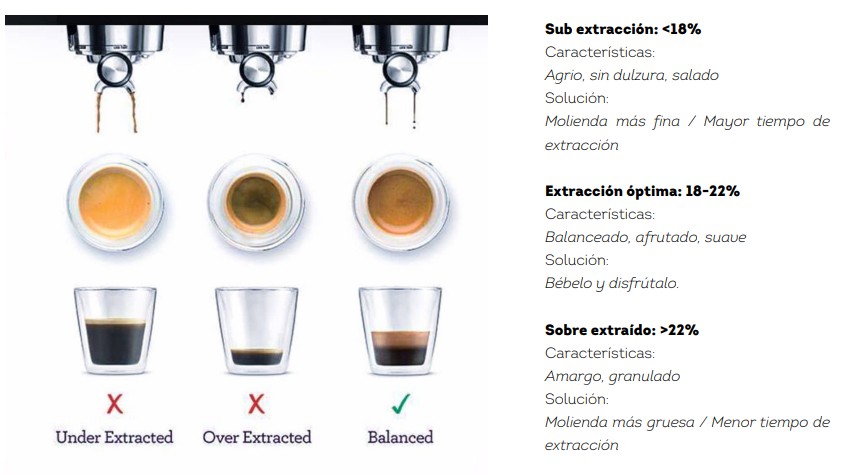 tiempo de extracción